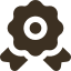 Icon Auszeichnung
